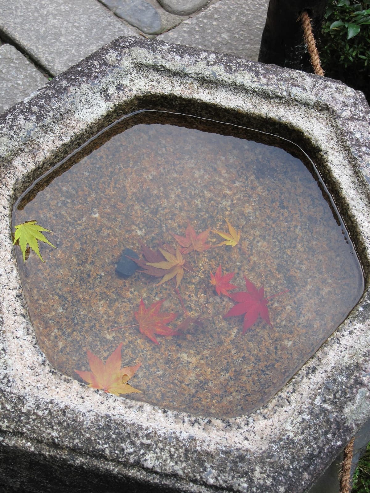 東福寺の紅葉、京都